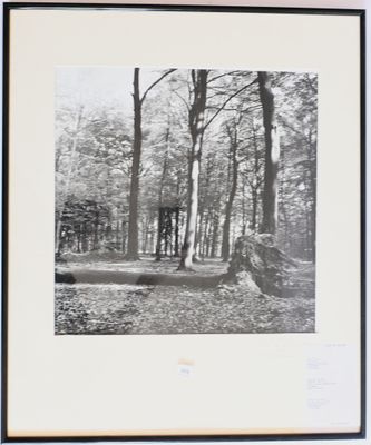 une photo en noir et blanc d'un banc dans les bois