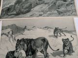 several pictures of animals are shown on a table in front of a painting