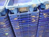 several blue plastic containers stacked on top of each other on a pallet