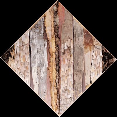 une image montrant un gros plan d'un morceau de bois sur fond noir