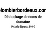 Photo 1/1 du lot