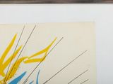 a picture of a picture of a bird of paradise in a picture frame