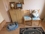 un chien assis sur une chaise dans une pièce