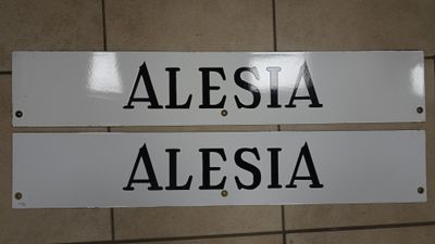 deux panneaux de signalisation accrochés au mur sur lesquels on peut lire « Alesia » et « Alesia »