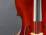 a close up of a violin on a black background