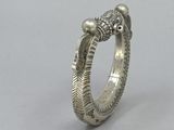 an image of a silver ring with a snake on it