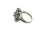 an image of a ring with a cluster of diamonds on it