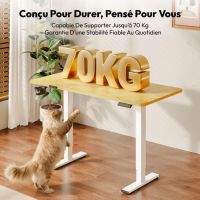 10798-217 / Bureau SANODESK 110x54cm, Hauteur Réglable 73.