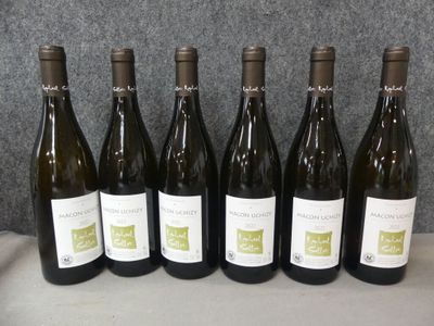 six bouteilles de vin blanc sont alignées sur une table