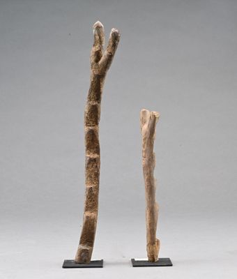 deux morceaux de bois sculptés en forme d'arbres
