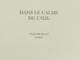 the cover of the book dans le calme de l ' oeil by pierre toulelles