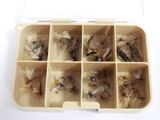a box with a lot of different flies in it