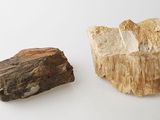 two pieces of rock that are sitting on a table