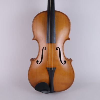 a close up of a violin on a white background
