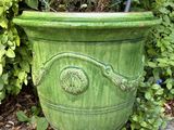 une jardinière verte posée par terre devant un buisson