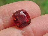 une personne tient un diamant rouge dans la main, sur un fond vert