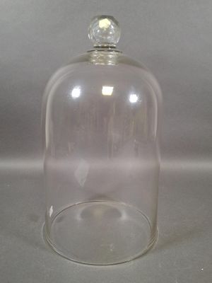 a glass clochet with a clear lid on a table