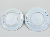 pair of blue and white plates with flowers on them on a white surface