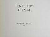 Photo 5/14 du lot