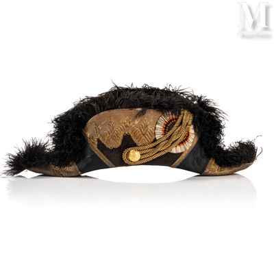 an image of a hat with feathers on a white background