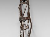 a horse bridle with reins and reinset on a white background