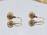 pair of gold tone earrings with clear crystal stones on a white surface
