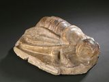 an image of a stone statue of a person laying on a rock