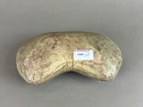 a rock with a label on it sitting on a table