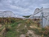 de nombreuses rangées de serres dans le champ par temps nuageux