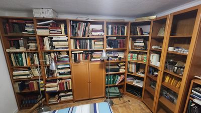une pièce avec un lit, une étagère et une bibliothèque