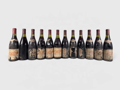 six bouteilles de vin sont alignées sur une surface blanche