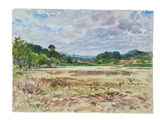 watercolor painting of a landscape of a field with trees in the distance
