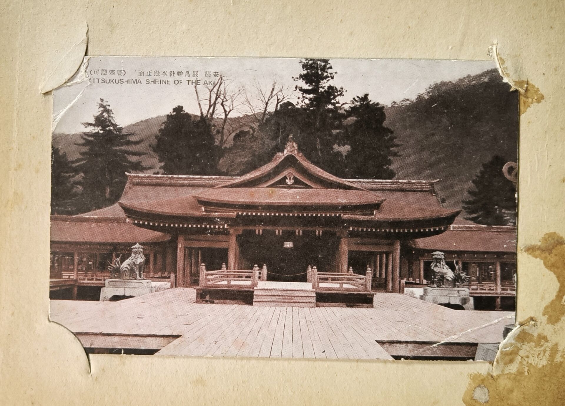 Objets d'art & Curiosités