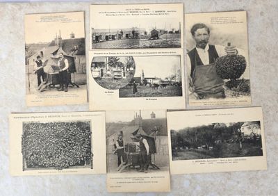 plusieurs vieilles photographies en noir et blanc représentant des personnes et du matériel agricole