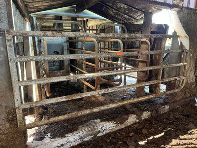 un homme debout dans une grange où se trouve un cheval