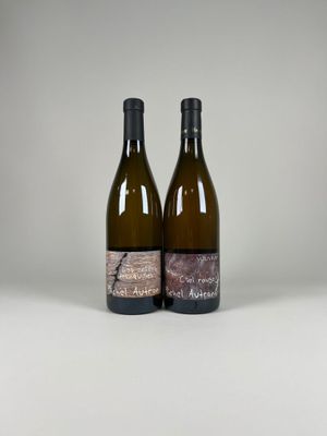 deux bouteilles de vin posées l'une à côté de l'autre sur une table