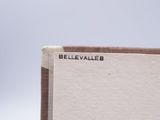 an image of a close up of a book with a plane in the background