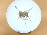 une assiette blanche posée sur une table, avec un peu d'herbe dessus