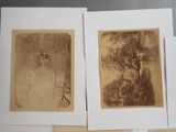 four sepia toned photographs of a woman and a tree