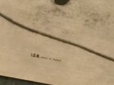 a black and white photo of a cat laying on a piece of paper