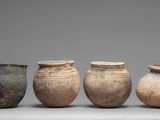 many vases that are lined up in a row