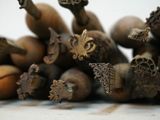 a bunch of nuts that are sitting on a table