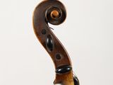 a close up of a violin on a white background