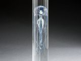Photo 1/1 du lot