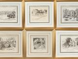 several framed pictures of various types of animals in a gold frame