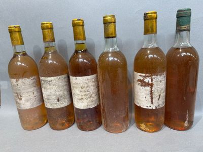 plusieurs bouteilles de vin sont alignées sur une table