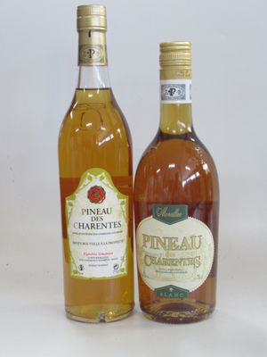 deux bouteilles d'alcool posées l'une à côté de l'autre sur une surface blanche