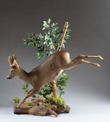 un cerf sautant par-dessus un arbre surmonté d'une branche