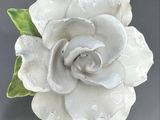a white flower with green leaves on a gray surface
