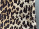 a close up of a leopard print shirt on a table